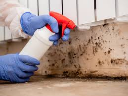 Mold Removal for HVAC Installations in Chickamauga, GA